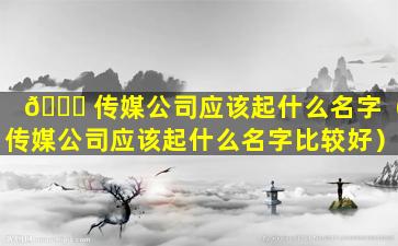 💐 传媒公司应该起什么名字（传媒公司应该起什么名字比较好）